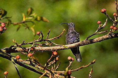 《如龙８》中配版剧情宣传片 2024年1月26日发售